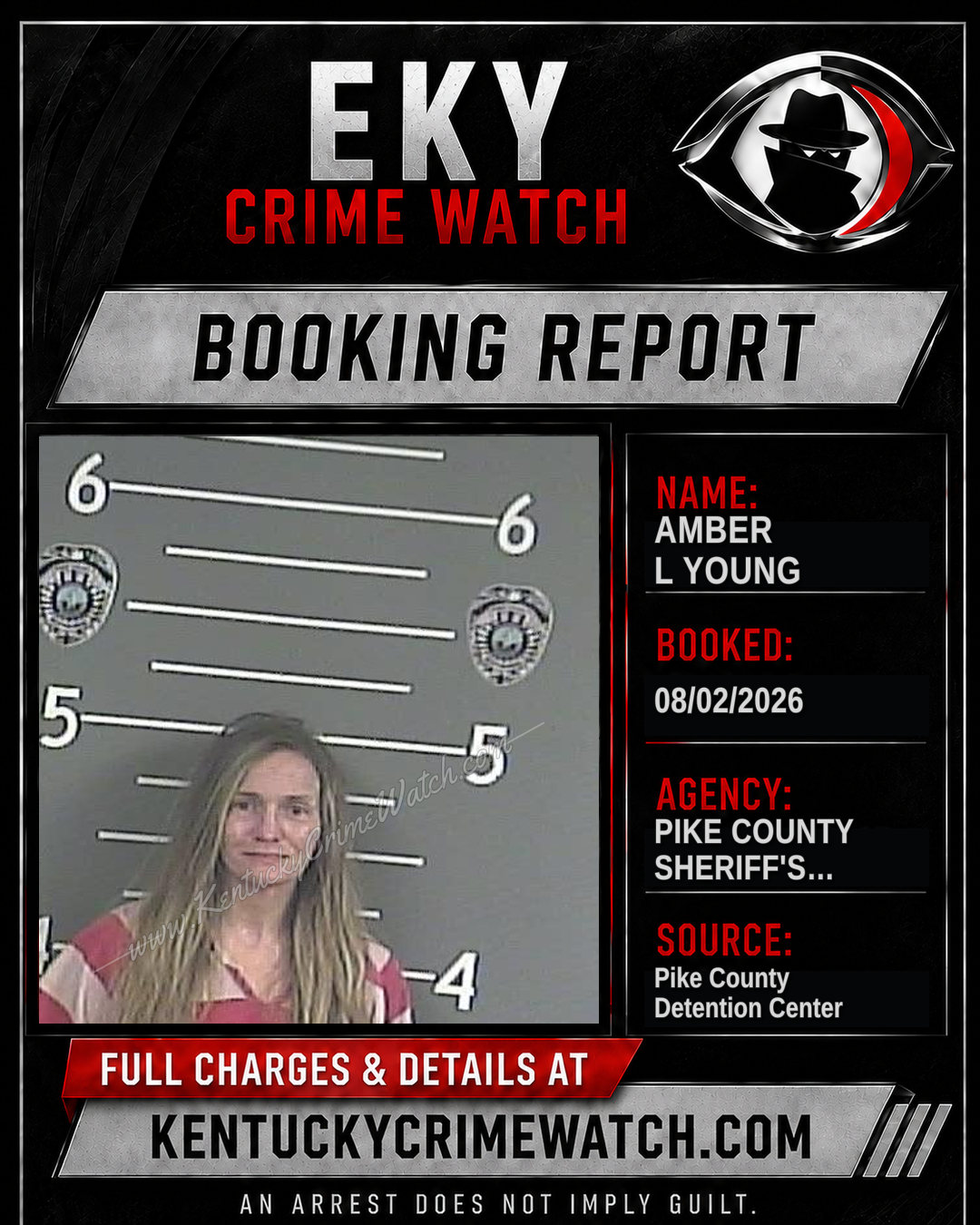 AMBER L YOUNG booking image
