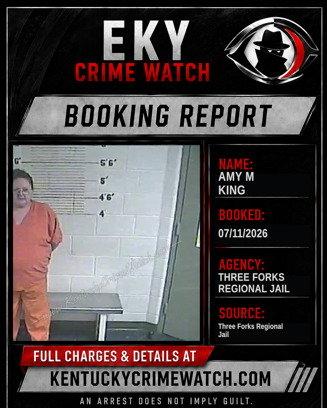 Amy M King booking image