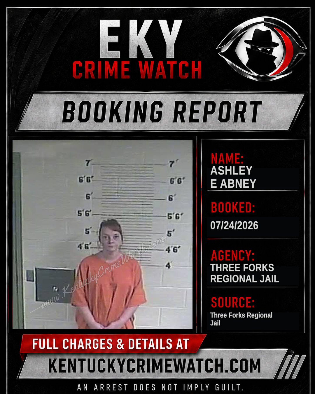 Ashley E Abney booking image