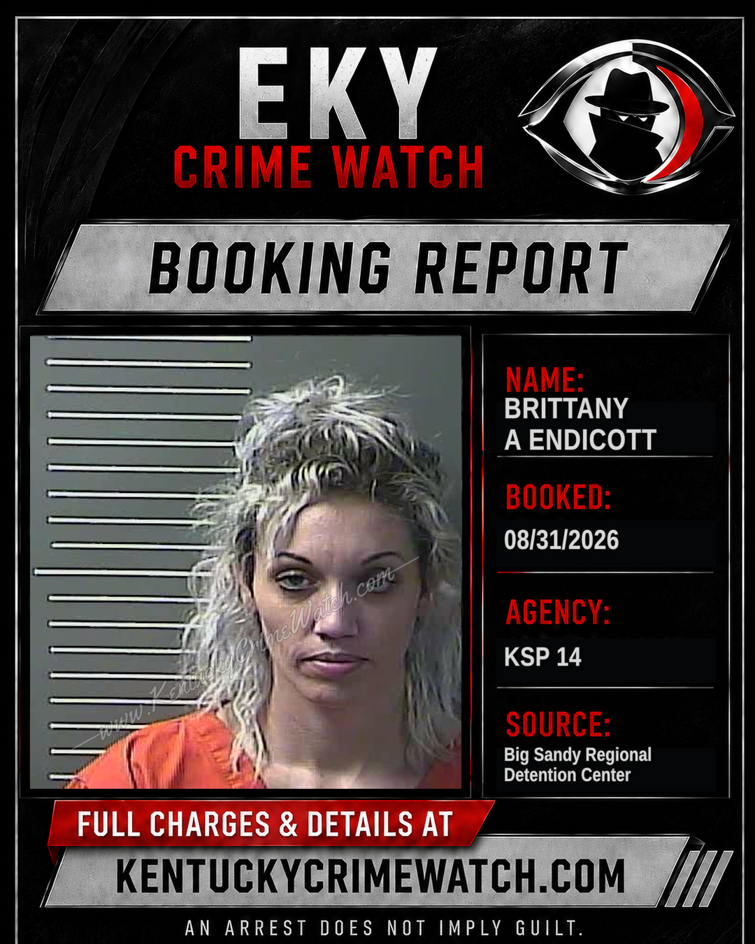 BRITTANY A ENDICOTT booking image
