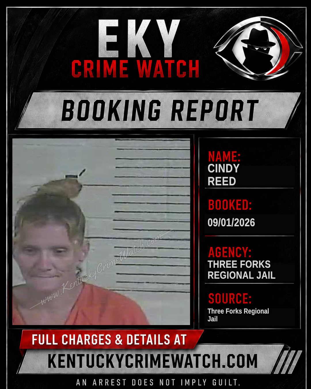 Cindy Reed booking image
