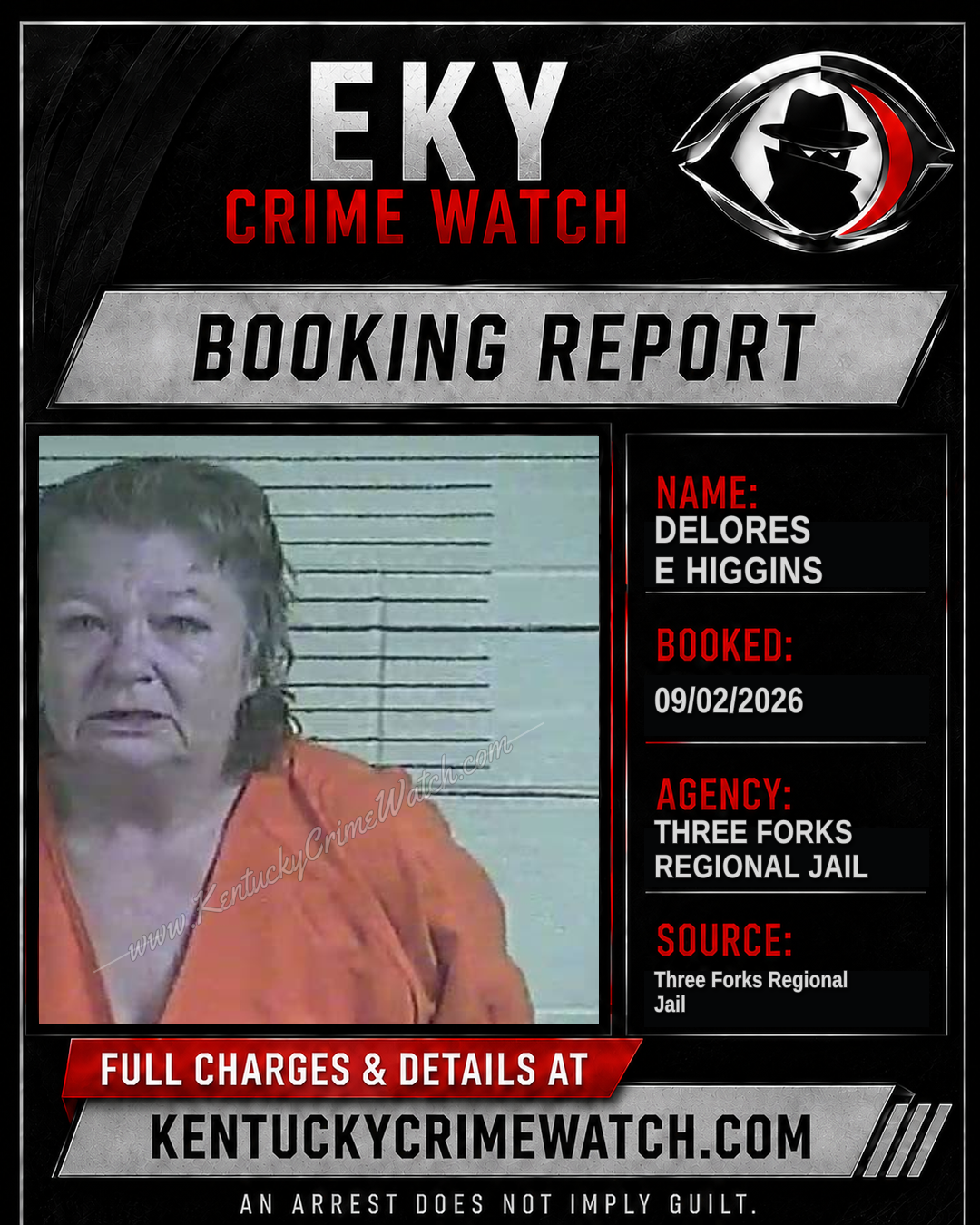Delores E Higgins booking image