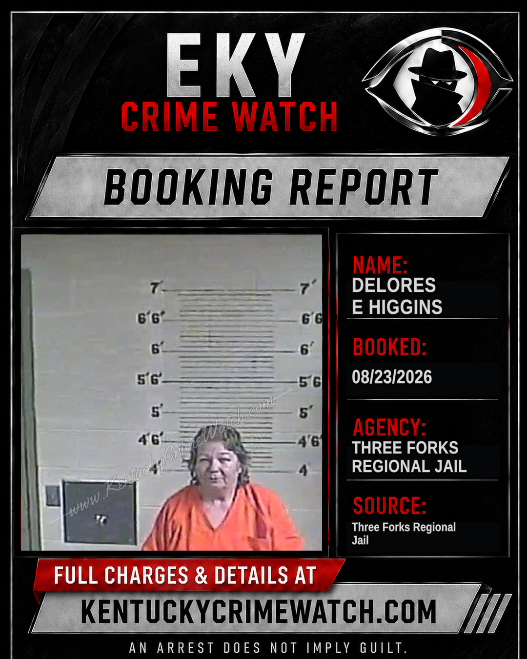 Delores E Higgins booking image