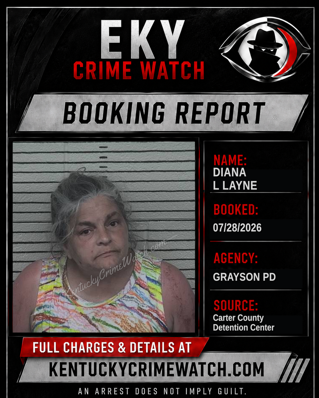 DIANA L LAYNE booking report card