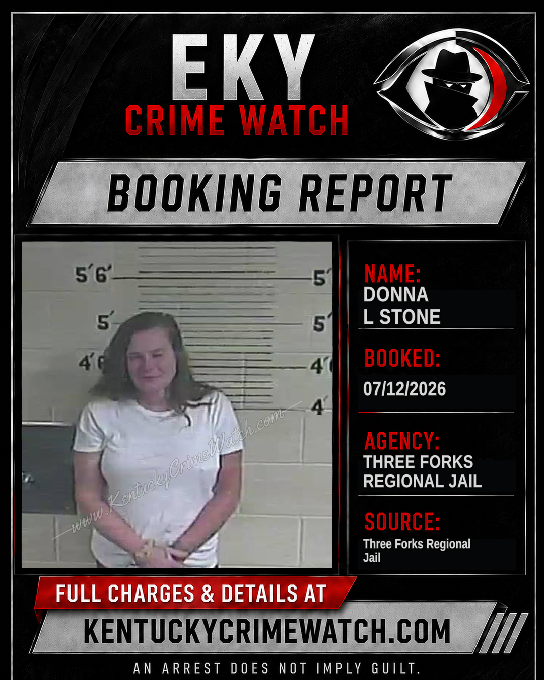 Donna L Stone booking image
