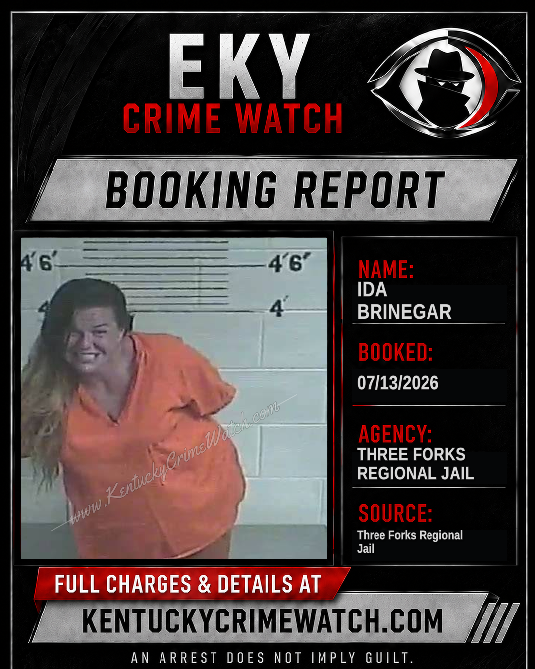Ida Brinegar booking image