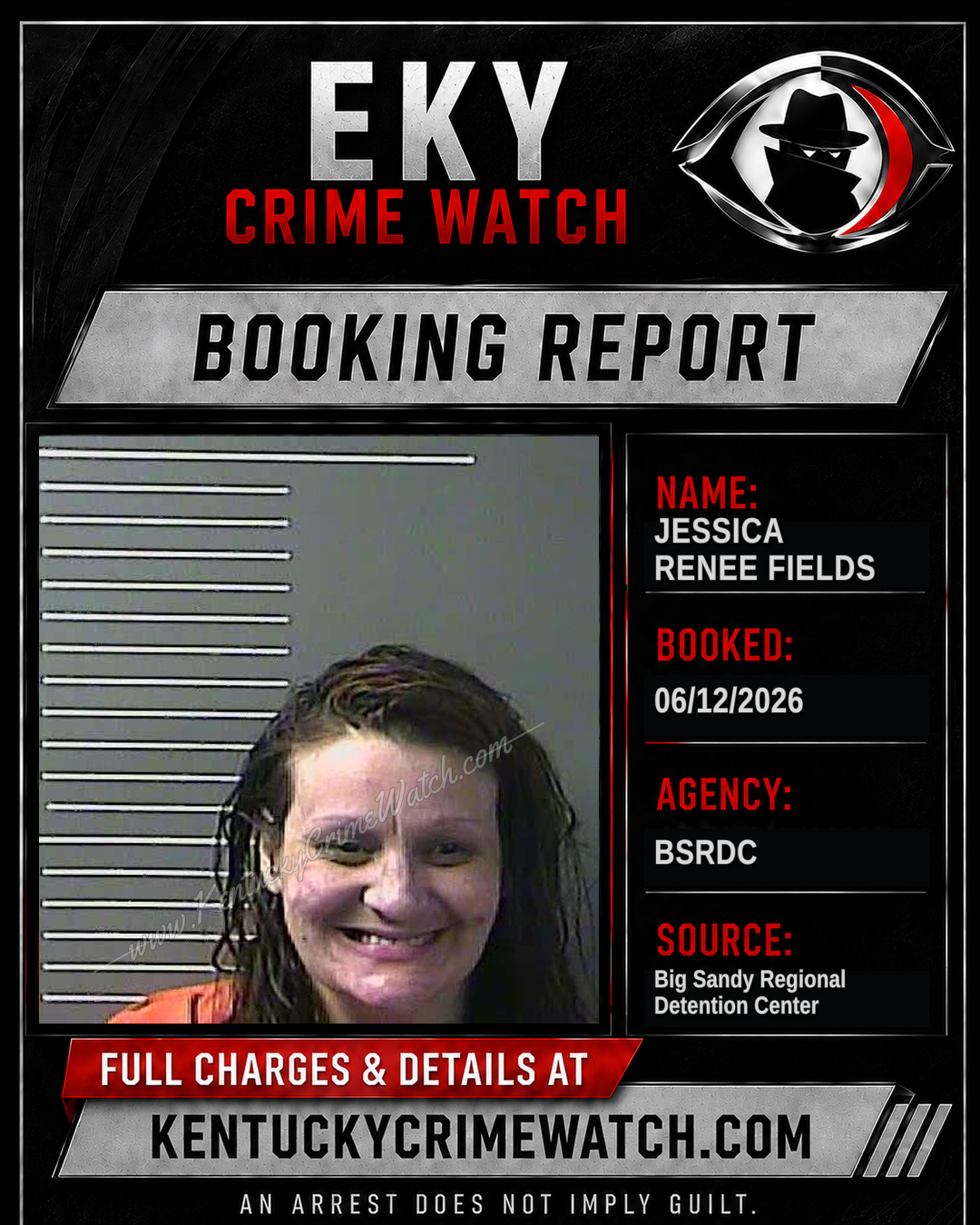 JESSICA RENEE FIELDS booking image